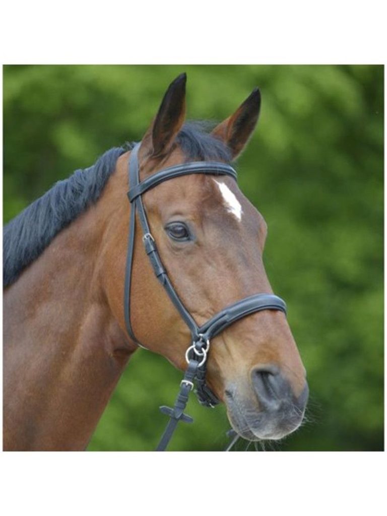 stort udvalg, Kingsland Equestrian, norsk mærke, foretrukne mærke for topryttere, ridetøj og rideudstyr